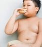 Übergewicht Deutschland Entwicklung - Anteil der fettleibigen Menschen steigt rasant UND die Lösung!
